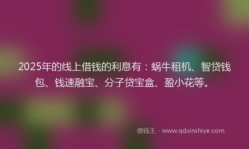 2025年的线上借钱的利息有：蜗牛租机、智贷钱包、钱速融宝、分子贷宝盒、盈小花等。