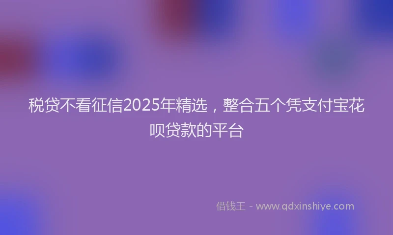 税贷不看征信2025年精选，整合五个凭支付宝花呗贷款的平台