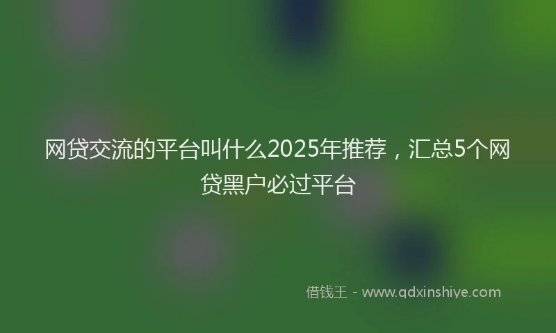 网贷交流的平台叫什么2025年推荐，汇总5个网贷黑户必过平台