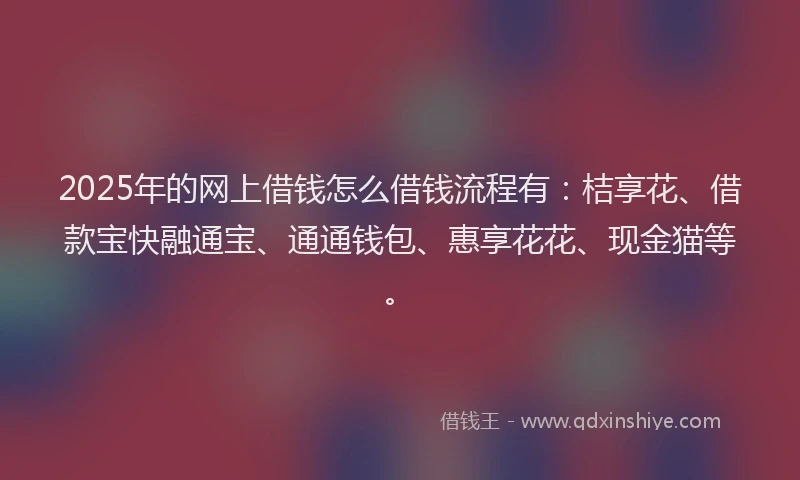 2025年的网上借钱怎么借钱流程有：桔享花、借款宝快融通宝、通通钱包、惠享花花、现金猫等。