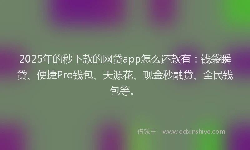 2025年的秒下款的网贷app怎么还款有：钱袋瞬贷、便捷Pro钱包、天源花、现金秒融贷、全民钱包等。