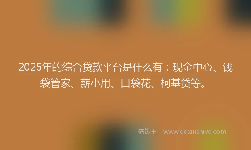 2025年的综合贷款平台是什么有：现金中心、钱袋管家、薪小用、口袋花、柯基贷等。