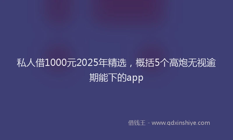 私人借1000元2025年精选，概括5个高炮无视逾期能下的app