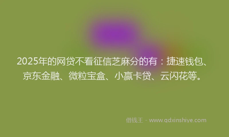 2025年的网贷不看征信芝麻分的有：捷速钱包、京东金融、微粒宝盒、小赢卡贷、云闪花等。
