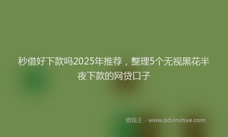 秒借好下款吗2025年推荐，整理5个无视黑花半夜下款的网贷口子