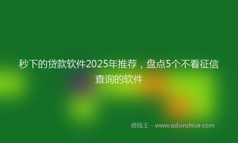 秒下的贷款软件2025年推荐，盘点5个不看征信查询的软件