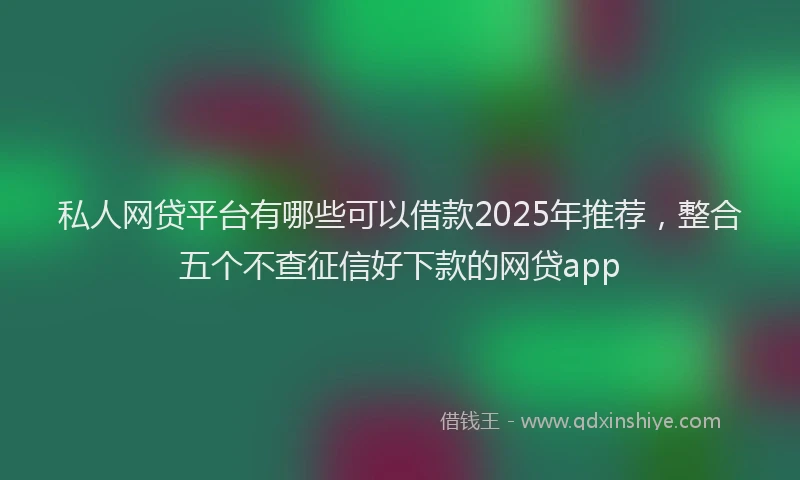 私人网贷平台有哪些可以借款2025年推荐，整合五个不查征信好下款的网贷app