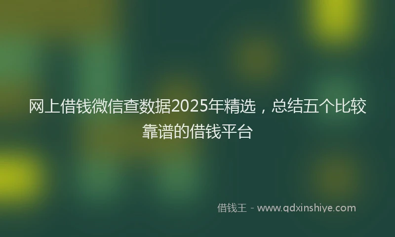 网上借钱微信查数据2025年精选，总结五个比较靠谱的借钱平台