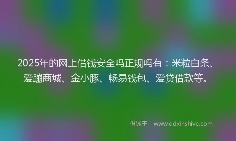 2025年的网上借钱安全吗正规吗有：米粒白条、爱蹦商城、金小豚、畅易钱包、爱贷借款等。