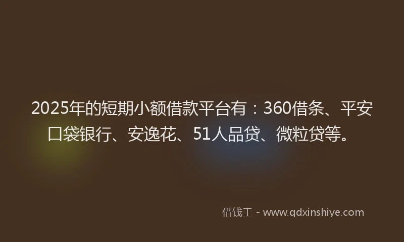 2025年的短期小额借款平台有：360借条、平安口袋银行、安逸花、51人品贷、微粒贷等。