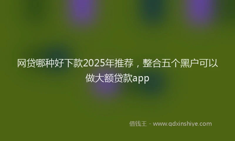 网贷哪种好下款2025年推荐，整合五个黑户可以做大额贷款app