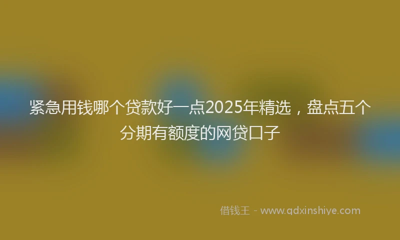 紧急用钱哪个贷款好一点2025年精选，盘点五个分期有额度的网贷口子
