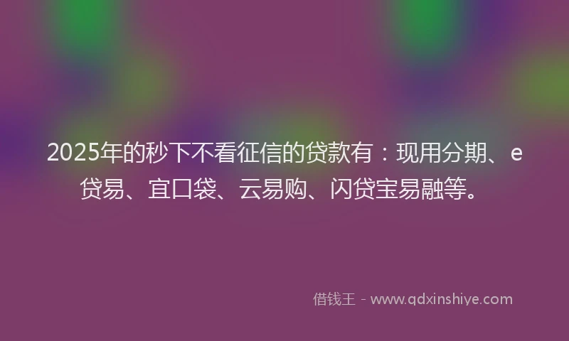 2025年的秒下不看征信的贷款有：现用分期、e贷易、宜口袋、云易购、闪贷宝易融等。