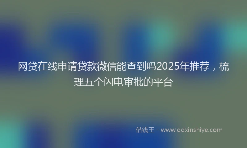 网贷在线申请贷款微信能查到吗2025年推荐，梳理五个闪电审批的平台