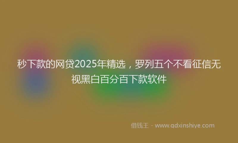 秒下款的网贷2025年精选，罗列五个不看征信无视黑白百分百下款软件