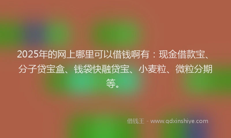 2025年的网上哪里可以借钱啊有：现金借款宝、分子贷宝盒、钱袋快融贷宝、小麦粒、微粒分期等。