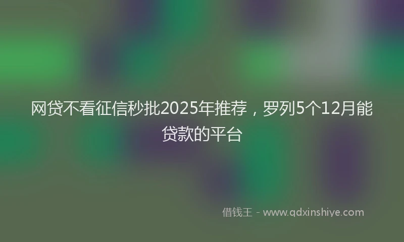 网贷不看征信秒批2025年推荐，罗列5个12月能贷款的平台
