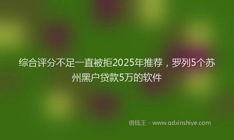 综合评分不足一直被拒2025年推荐，罗列5个苏州黑户贷款5万的软件