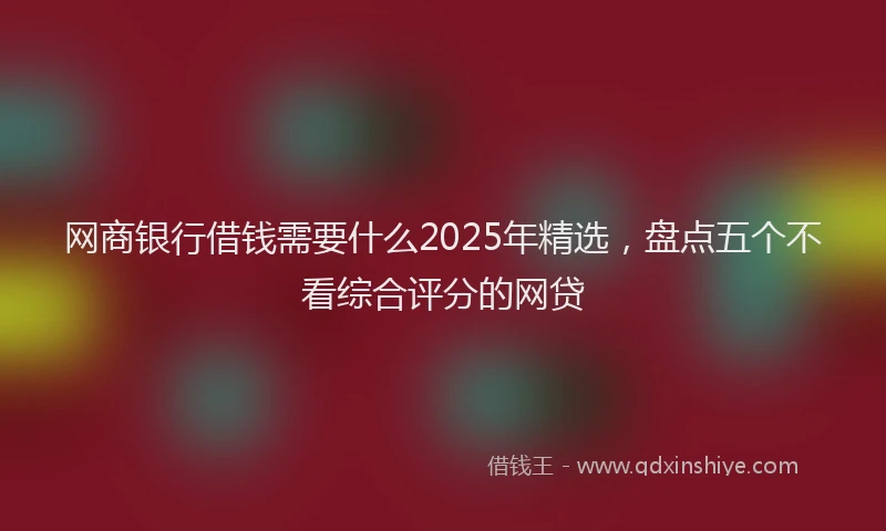 网商银行借钱需要什么2025年精选，盘点五个不看综合评分的网贷