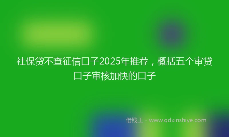 社保贷不查征信口子2025年推荐，概括五个审贷口子审核加快的口子