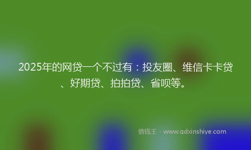 2025年的网贷一个不过有：投友圈、维信卡卡贷、好期贷、拍拍贷、省呗等。