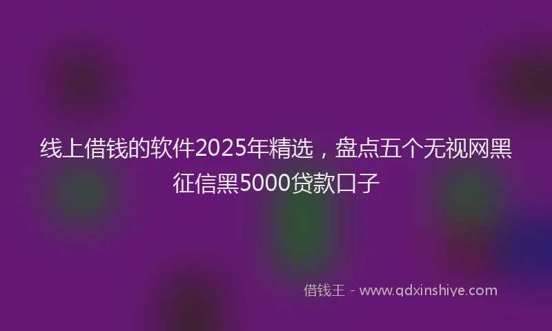 线上借钱的软件2025年精选，盘点五个无视网黑征信黑5000贷款口子