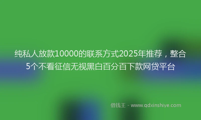 纯私人放款10000的联系方式2025年推荐，整合5个不看征信无视黑白百分百下款网贷平台