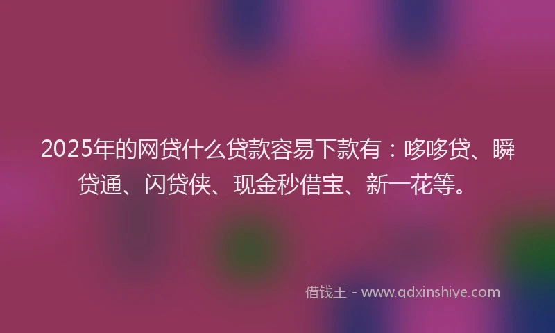 2025年的网贷什么贷款容易下款有：哆哆贷、瞬贷通、闪贷侠、现金秒借宝、新一花等。