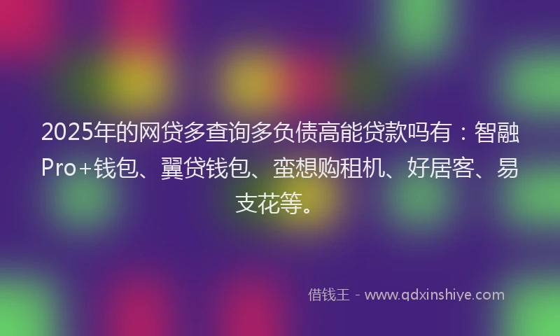 2025年的网贷多查询多负债高能贷款吗有：智融Pro+钱包、翼贷钱包、蛮想购租机、好居客、易支花等。