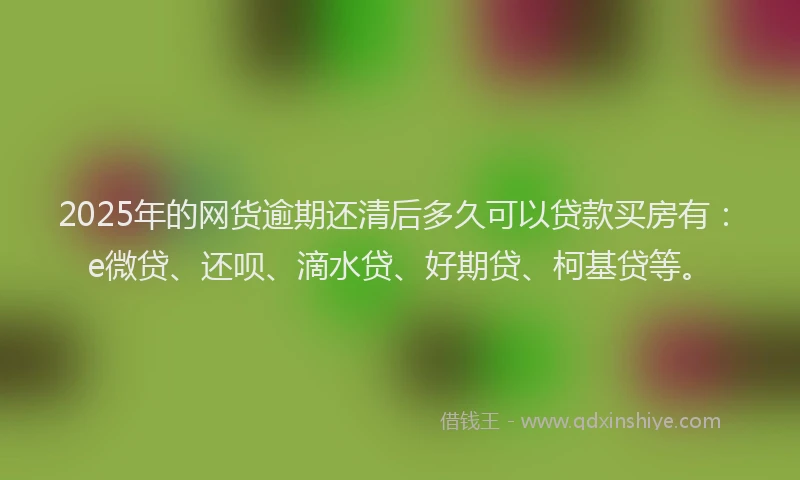2025年的网货逾期还清后多久可以贷款买房有：e微贷、还呗、滴水贷、好期贷、柯基贷等。