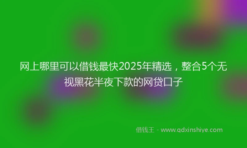 网上哪里可以借钱最快2025年精选，整合5个无视黑花半夜下款的网贷口子