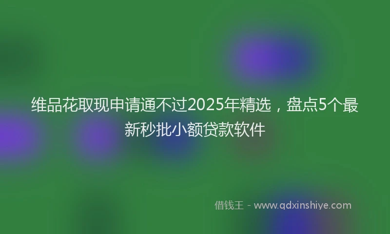 维品花取现申请通不过2025年精选，盘点5个最新秒批小额贷款软件