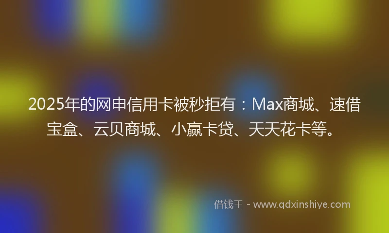 2025年的网申信用卡被秒拒有:Max商城、速借宝盒、云贝商城、小赢卡贷、天天花卡等。