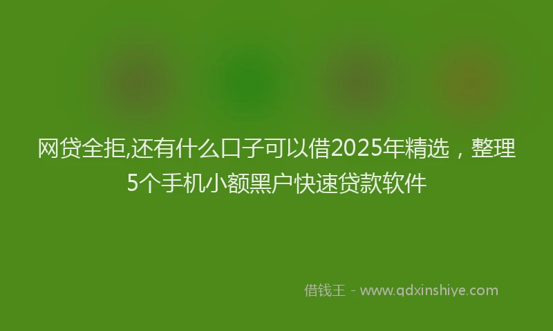 网贷全拒,还有什么口子可以借2025年精选，整理5个手机小额黑户快速贷款软件