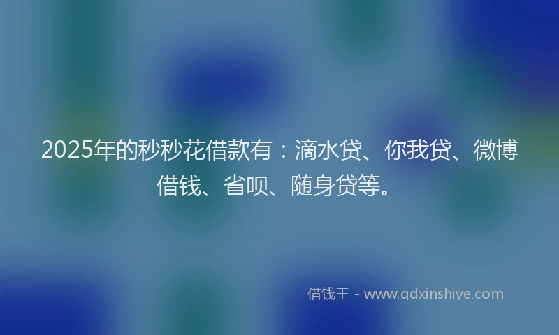 2025年的秒秒花借款有：滴水贷、你我贷、微博借钱、省呗、随身贷等。