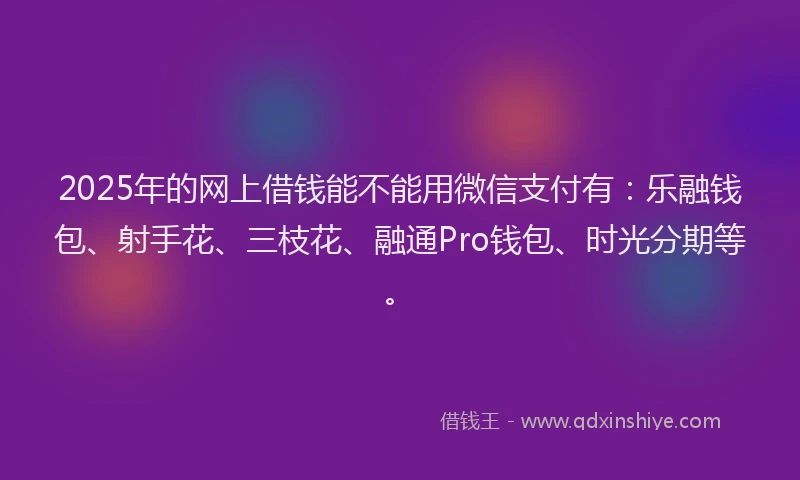 2025年的网上借钱能不能用微信支付有：乐融钱包、射手花、三枝花、融通Pro钱包、时光分期等。