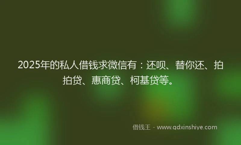 2025年的私人借钱求微信有：还呗、替你还、拍拍贷、惠商贷、柯基贷等。