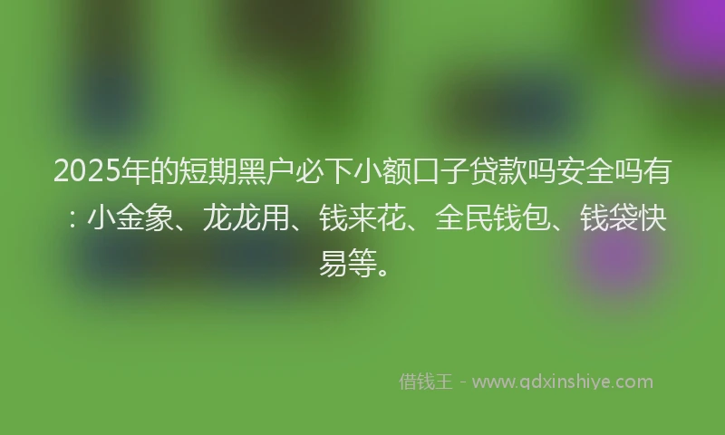 2025年的短期黑户必下小额口子贷款吗安全吗有：小金象、龙龙用、钱来花、全民钱包、钱袋快易等。