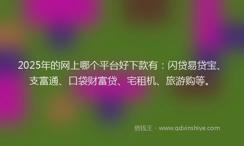 2025年的网上哪个平台好下款有：闪贷易贷宝、支富通、口袋财富贷、宅租机、旅游购等。