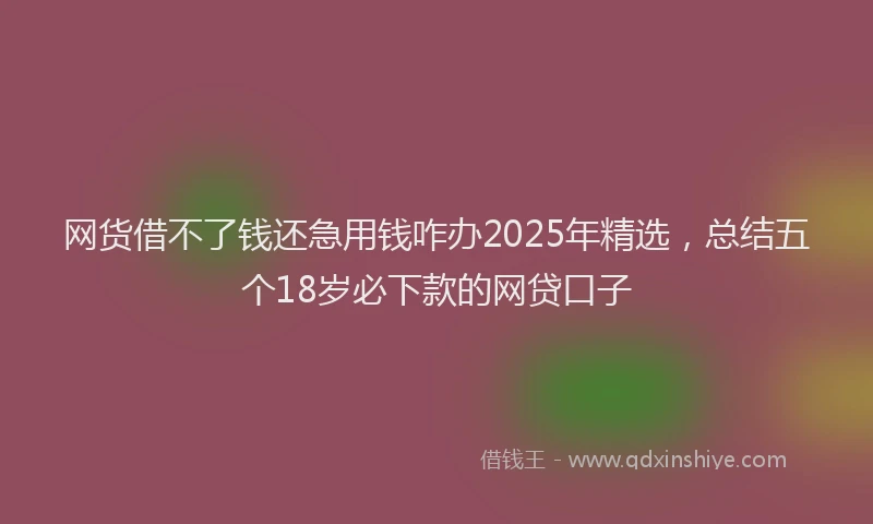 网货借不了钱还急用钱咋办2025年精选，总结五个18岁必下款的网贷口子