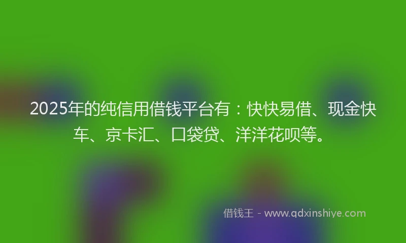 2025年的纯信用借钱平台有：快快易借、现金快车、京卡汇、口袋贷、洋洋花呗等。