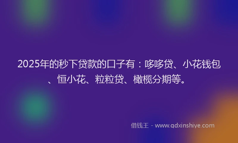 2025年的秒下贷款的口子有：哆哆贷、小花钱包、恒小花、粒粒贷、橄榄分期等。