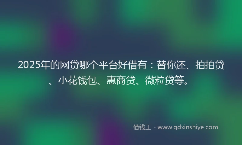 2025年的网贷哪个平台好借有：替你还、拍拍贷、小花钱包、惠商贷、微粒贷等。