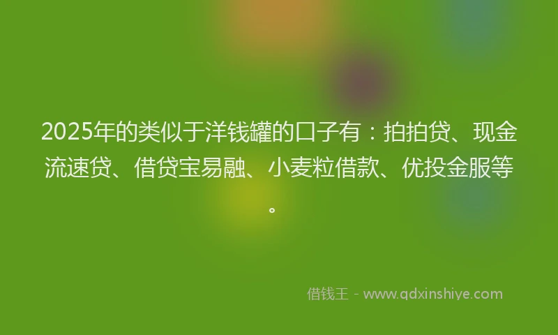 2025年的类似于洋钱罐的口子有：拍拍贷、现金流速贷、借贷宝易融、小麦粒借款、优投金服等。