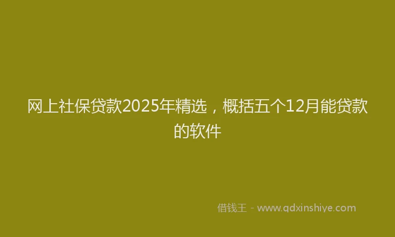 网上社保贷款2025年精选，概括五个12月能贷款的软件