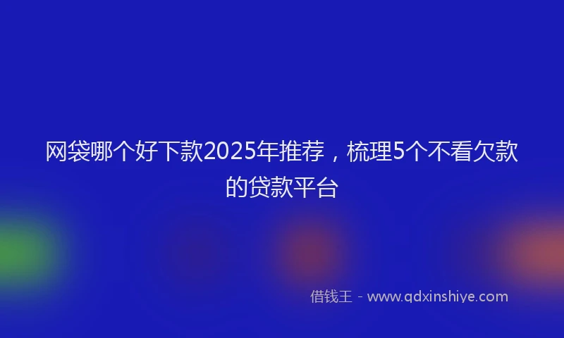 网袋哪个好下款2025年推荐，梳理5个不看欠款的贷款平台