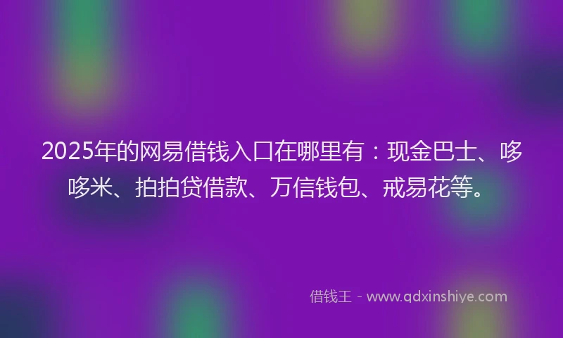 2025年的网易借钱入口在哪里有：现金巴士、哆哆米、拍拍贷借款、万信钱包、戒易花等。