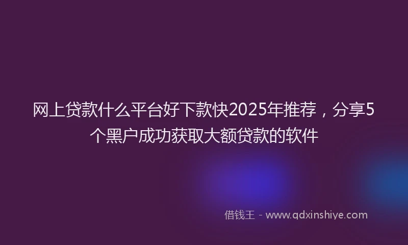 网上贷款什么平台好下款快2025年推荐，分享5个黑户成功获取大额贷款的软件