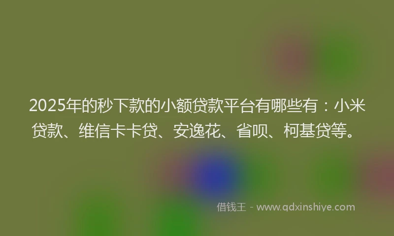 2025年的秒下款的小额贷款平台有哪些有：小米贷款、维信卡卡贷、安逸花、省呗、柯基贷等。