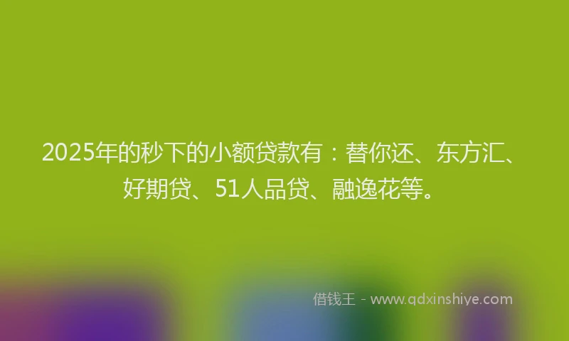 2025年的秒下的小额贷款有：替你还、东方汇、好期贷、51人品贷、融逸花等。